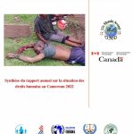 roit de l’homme : plus de 759 personnes tuées dans des actes de  violences au Cameroun en 2022